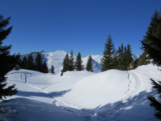 über ein traumhaftes Schneeschuhgebiet verlieren wir langsam an Höhe