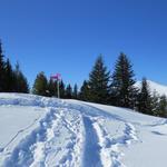 auf der Höhe von Punkt 1895 m.ü.M. treffen wir auf den Schneeschuhtrail der den Cheibehore umrundet