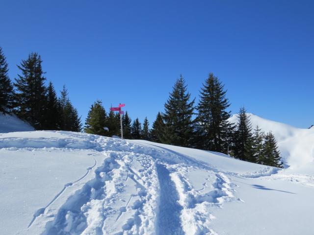 auf der Höhe von Punkt 1895 m.ü.M. treffen wir auf den Schneeschuhtrail der den Cheibehore umrundet