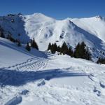 einfach traumhaft schön, im Tiefschnee runter zu laufen