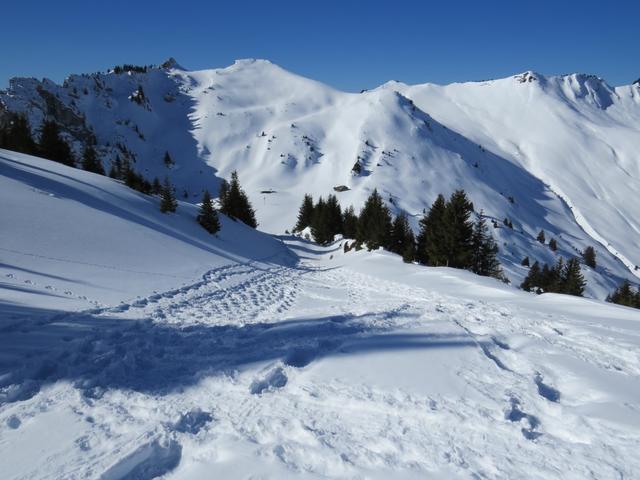 einfach traumhaft schön, im Tiefschnee runter zu laufen