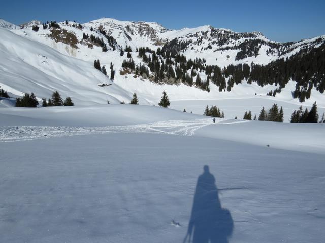 hier biegen wir rechts ab zum Oberstockensee