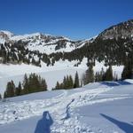 einfach traumhaft. Es geht nun leicht abwärts bis zum Oberstockensee