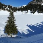 schönes Breitbildfoto vom Oberstockensee