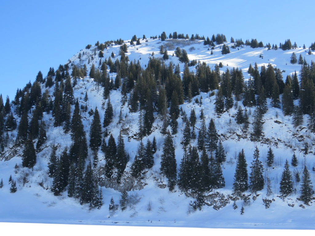 Blick hinauf zum Cheibehore