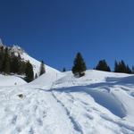 der Schneeschuhtrail führt uns nun hinauf zur Oberstockenalp