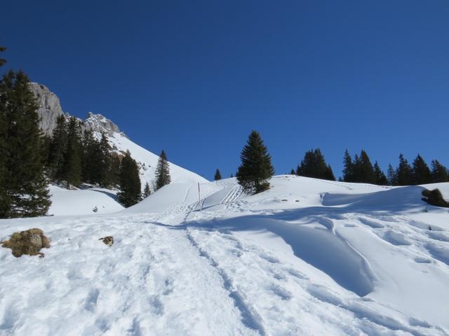 der Schneeschuhtrail führt uns nun hinauf zur Oberstockenalp