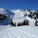 Blick zurück zum idyllisch gelegenen, tief verschneiten Oberstockensee
