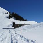 bei einem Bauernhof auf der Oberstockenalp...