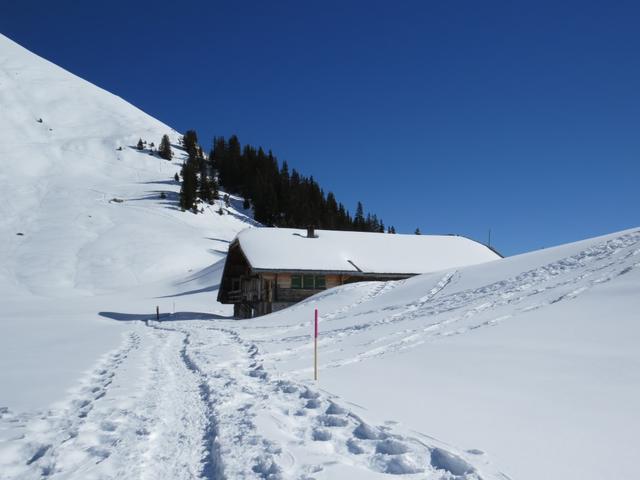 bei einem Bauernhof auf der Oberstockenalp...