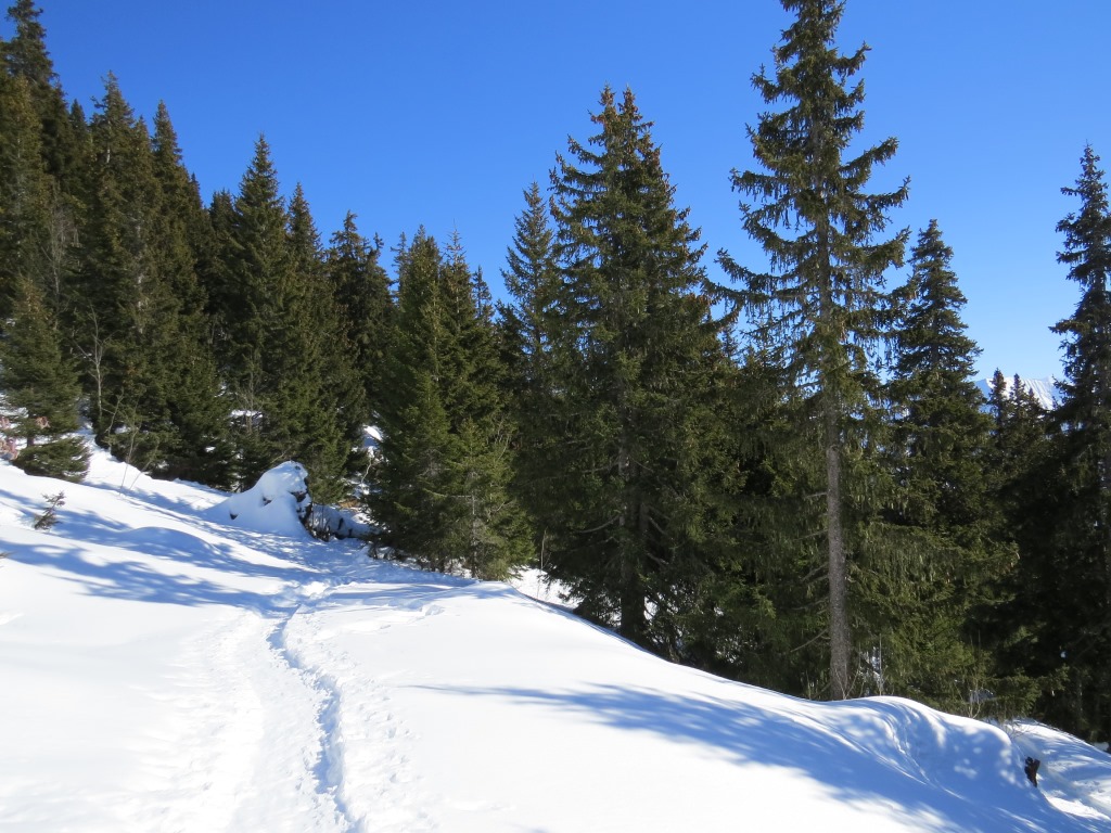 ...und beginnen mit dem Abstieg zum Hinterstockensee