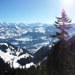 ... und geniessen während der Fahrt nochmals ein sehr schönes Panorama