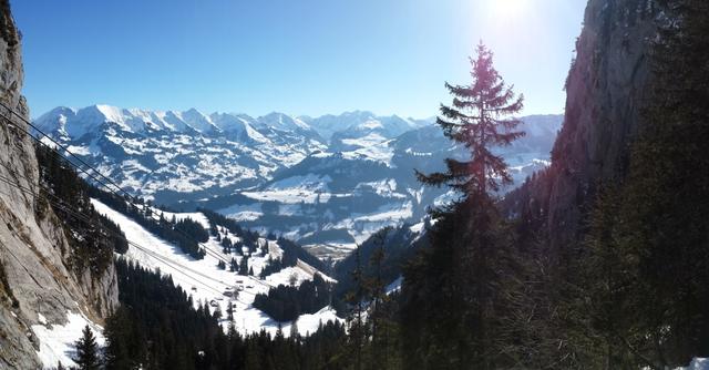 ... und geniessen während der Fahrt nochmals ein sehr schönes Panorama