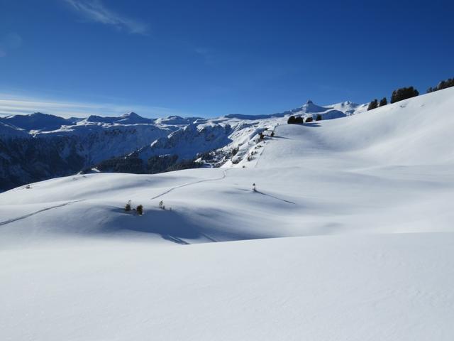 um danach auf der Höhe von Punkt 1901 m.ü.M. rechts über leicht gewelltes Gebiet abzubiegen