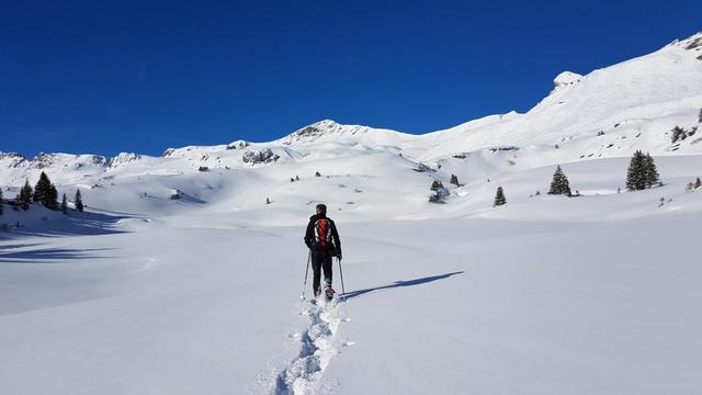 am Vortag hat es noch geschneit. Wir laufen über traumhafte Schneeverhältnisse