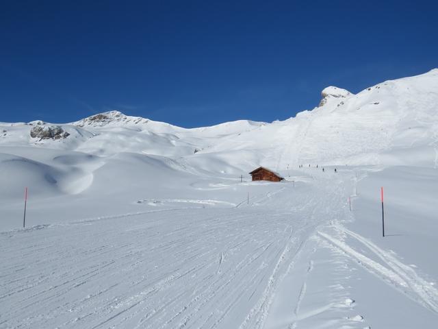 leicht aufwärts überqueren wir die Skipiste, und nehmen nicht die markierte Route nach Fursch