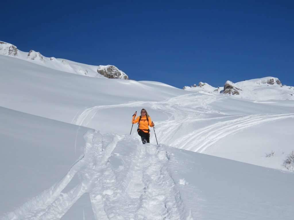 meine Maus der einzige Farbtupfer in dieser Schneelandschaft