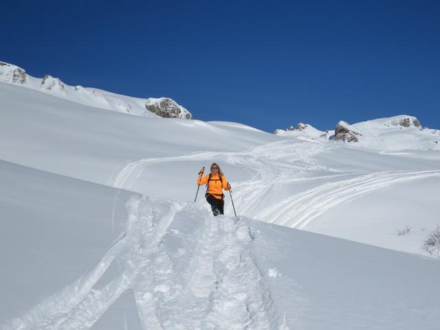 meine Maus der einzige Farbtupfer in dieser Schneelandschaft