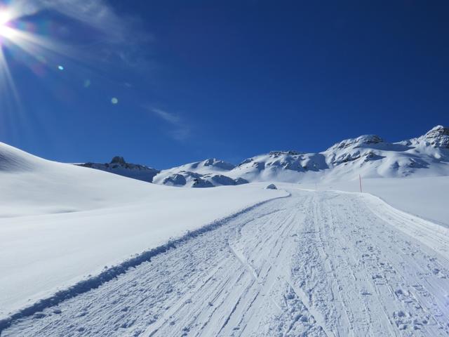 wir erreichen den gepfadeten Winterwanderweg der von der Alp Fursch hier hinauf zieht