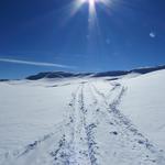 der gesteckte Schneeschuhweg führt als Variante rechts um die Anhöhe Punkt 2158 m.ü.M. herum