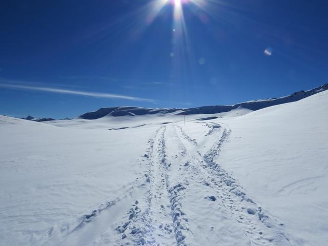 der gesteckte Schneeschuhweg führt als Variante rechts um die Anhöhe Punkt 2158 m.ü.M. herum