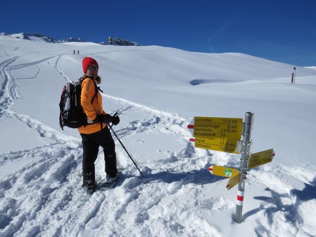 nach dieser schönen Kaffeepause, verlassen wir die Spitzmeilenhütte