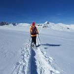 nicht nur wir ziehen Spuren im Tiefschnee