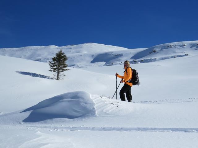 wir haben die Alp Fursch erreicht