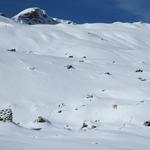 bei der Alp Fursch, biegen wir nicht links ab zur Alp Schwizerböden, von wo wir heute Morgen abgestiegen sind,...