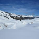 ...sondern bleiben auf der Alp Fursch...