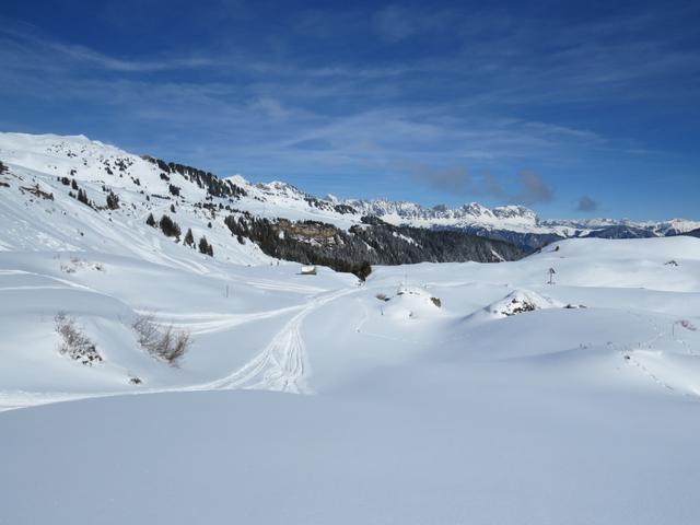 ...sondern bleiben auf der Alp Fursch...