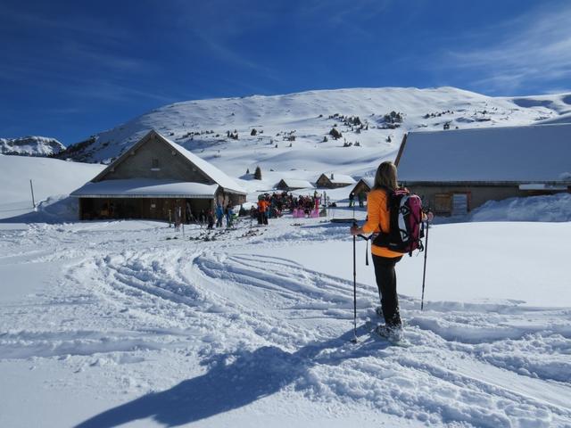 im Winter ist die Alp Fursch 1792 m.ü.M. ein beliebter Treffpunkt um etwas zu essen und zu trinken