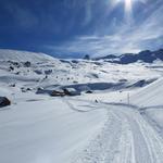Blick zurück zu den Alphütten von Alp Fursch
