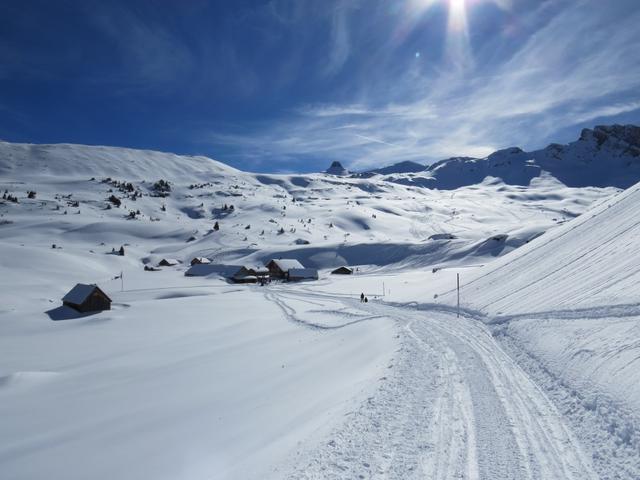 Blick zurück zu den Alphütten von Alp Fursch