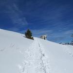 oberhalb vom kleinen Skilift...