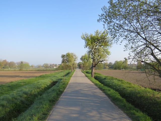 ... und verlassen über einen Feldweg Kreuzlingen