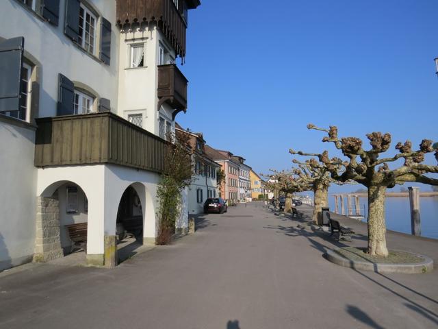 die Seepromenade von Gottlieben