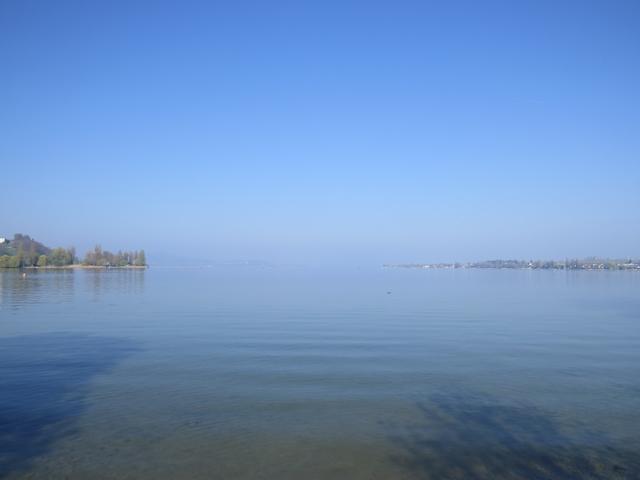 schöner Blick auf den Untersee