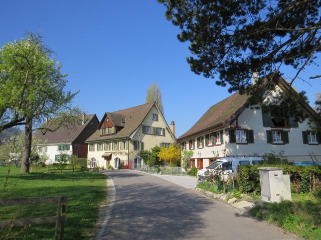 wir erreichen Mannenbach-Salenstein und laufen weiter nun Richtung Berlingen