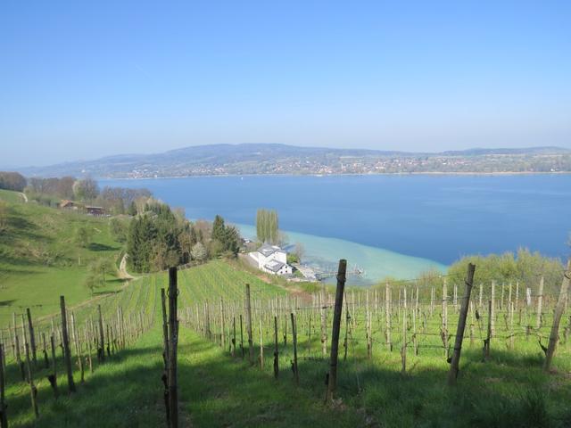 sehr schöner Blick auf den Untersee