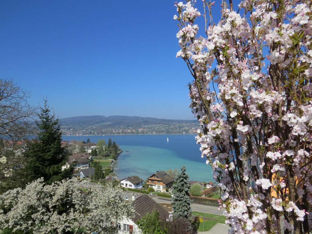 was für ein Ausblick!