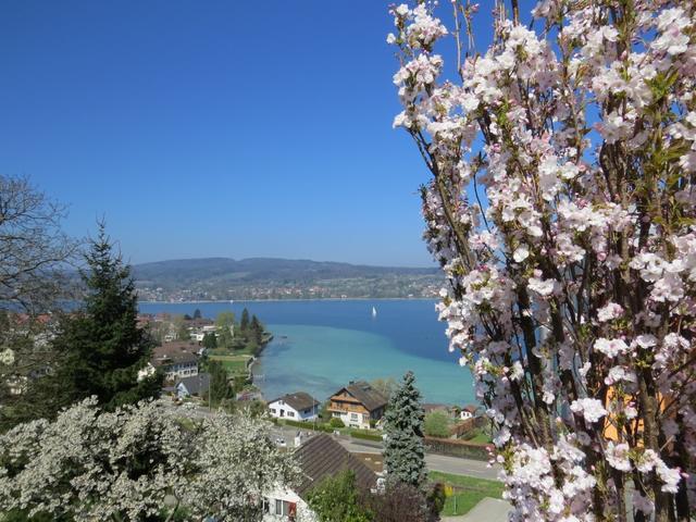 was für ein Ausblick!