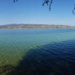 schönes Breitbildfoto mit Blick auf den Untersee, aufgenommen in der Hafenanlage von Steckborn