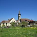 Blick zurück nach Steckborn