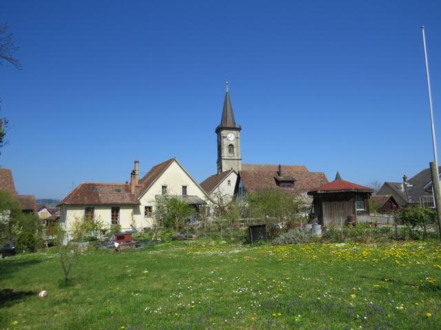 Blick zurück nach Steckborn