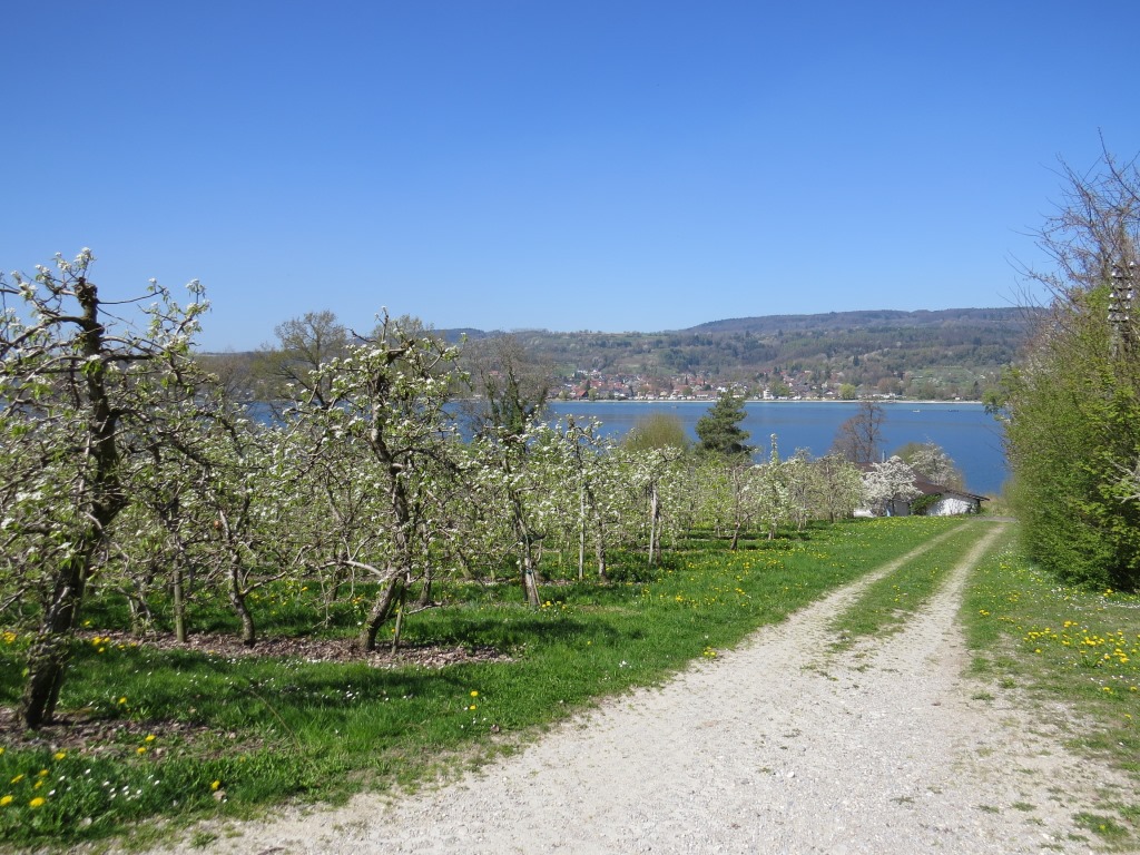 wir laufen nun an scheinbar endlosen Obstplantagen vorbei