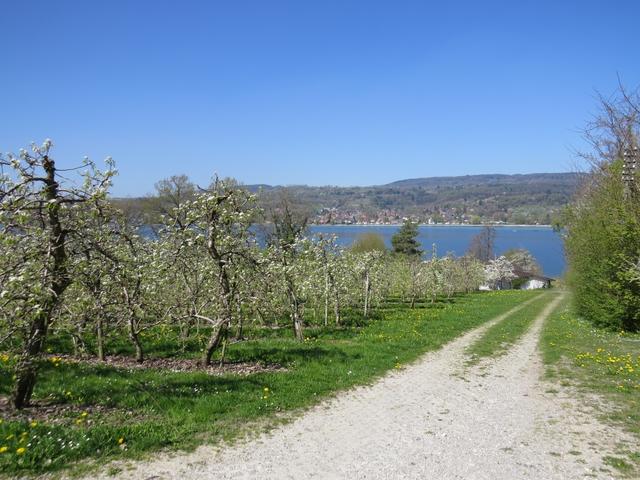 wir laufen nun an scheinbar endlosen Obstplantagen vorbei