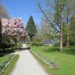 im sehr schönem Park der Schloss-Klinik in Mammern