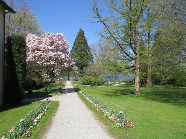 im sehr schönem Park der Schloss-Klinik in Mammern