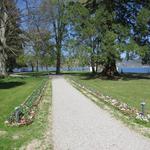 im sehr schönem Park der Schloss-Klinik in Mammern